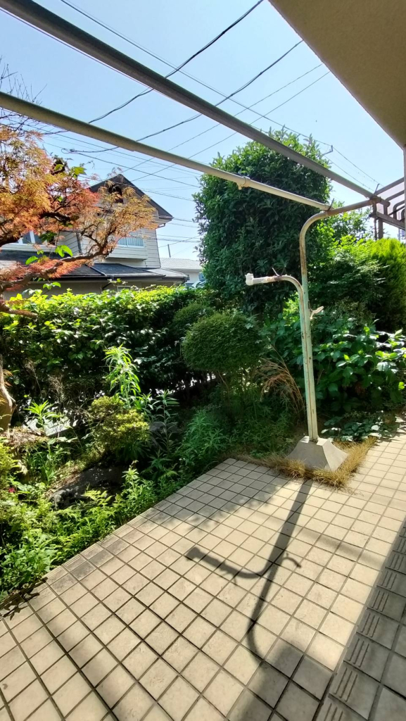 庭