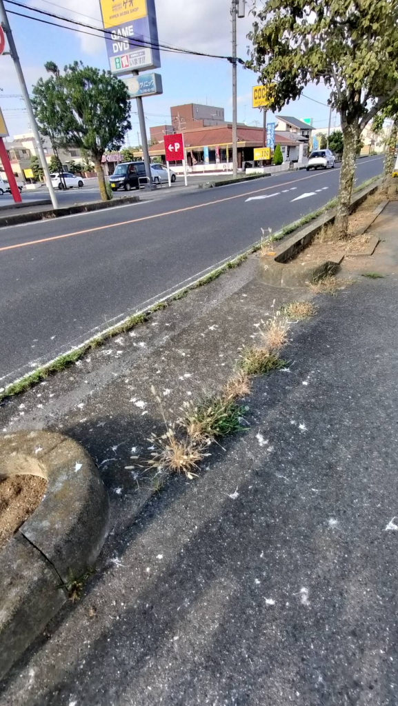 北側公道出入口
