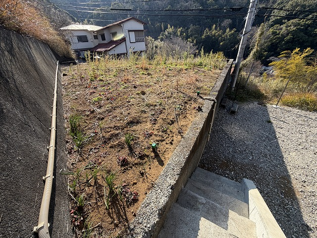 日当りの良い平坦な庭