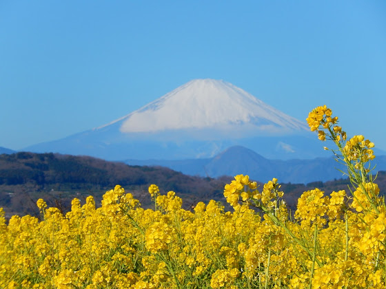 大妻山