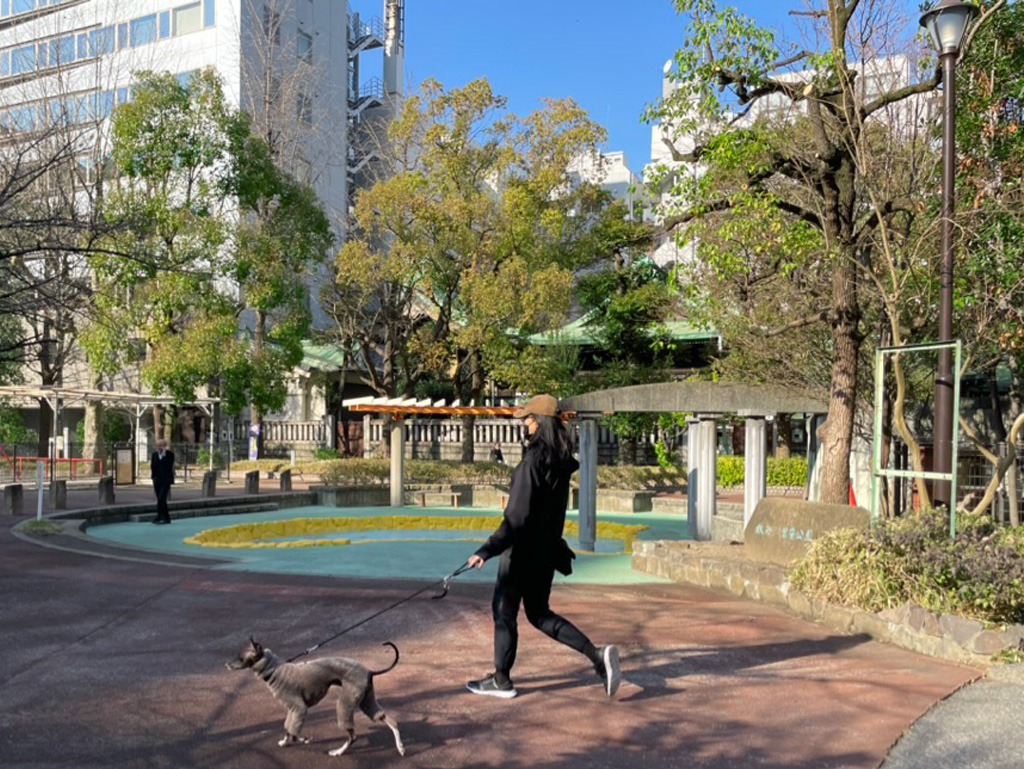 中央区立鉄炮州児童公園　徒歩２分