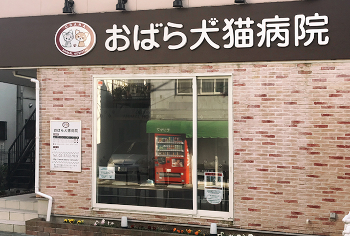 動物病院　徒歩２分