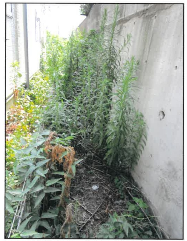 ブルーライン阪東橋駅横浜市南区平楽一戸建て物件不動産任意売却競売物件入札サポートリビングホーム