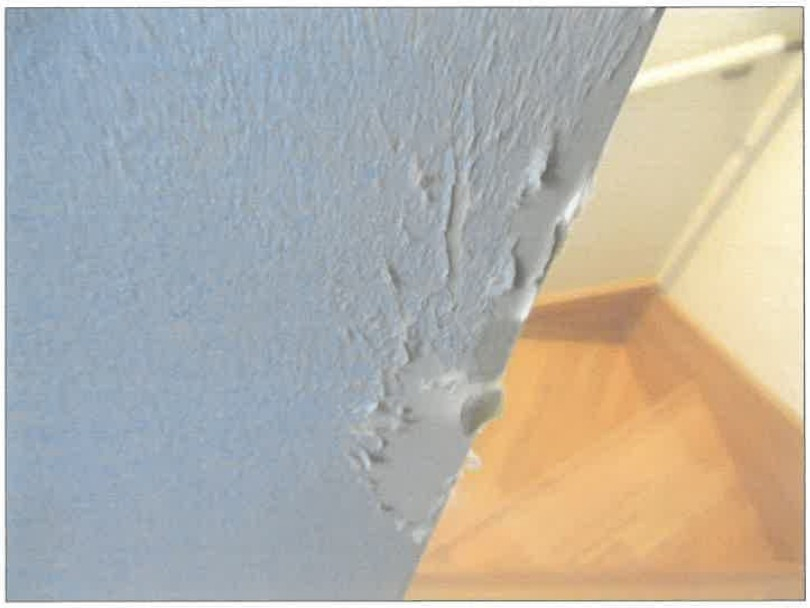 海老名駅徒歩海老名市上郷1丁目一戸建て物件不動産任意売却競売物件入札サポートリビングホーム